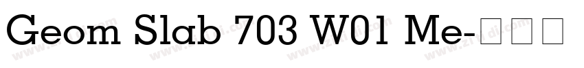 Geom Slab 703 W01 Me字体转换
